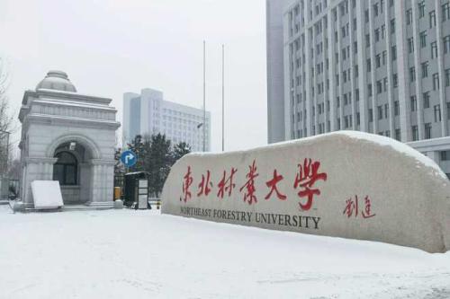 东北林业大学2021年高校专项计划招生简章