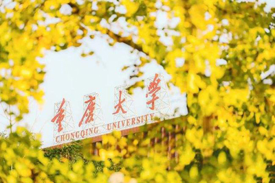 重庆大学2022年强基计划招生简章